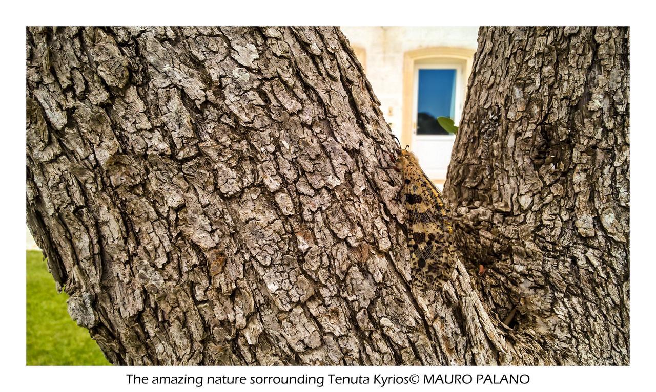 Tenuta Kyrios บอร์กาญเญ ภายนอก รูปภาพ